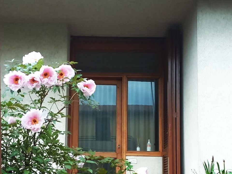 Apartment in Scarperia e San Piero, Florence - photo 2