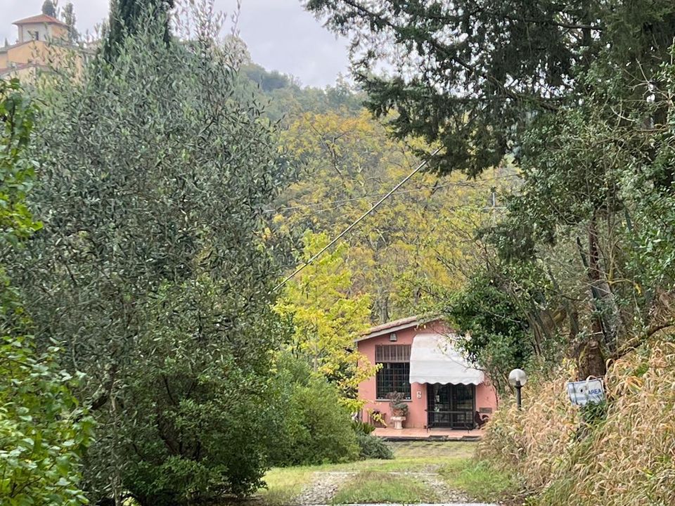 Villa i Impruneta, Florence - foto 1