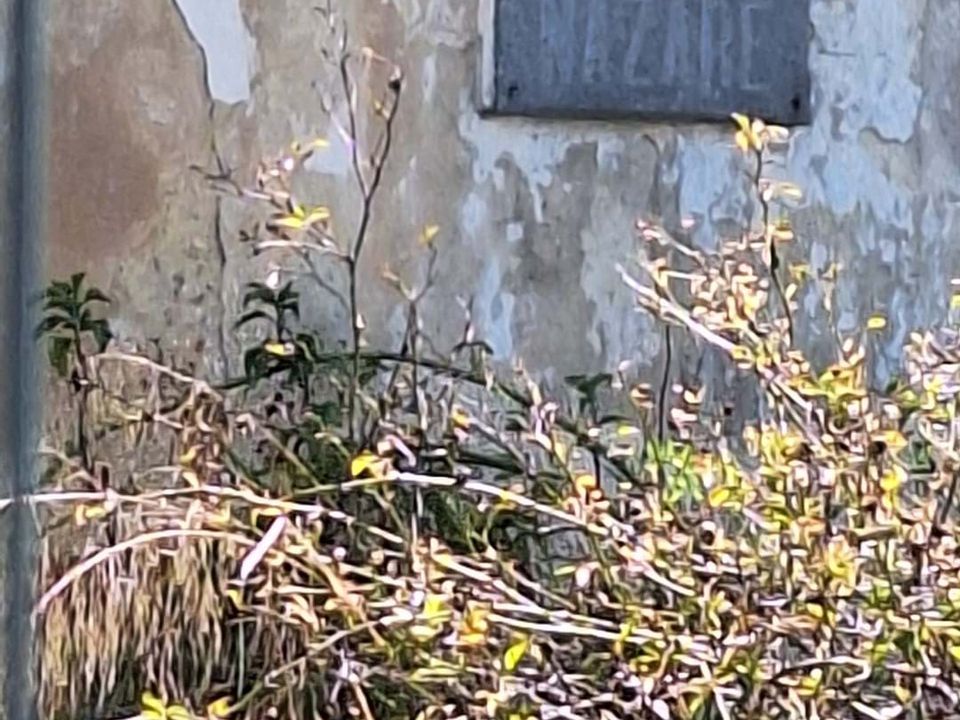 Helårsgrund i Sintra, Lisbon - foto 3