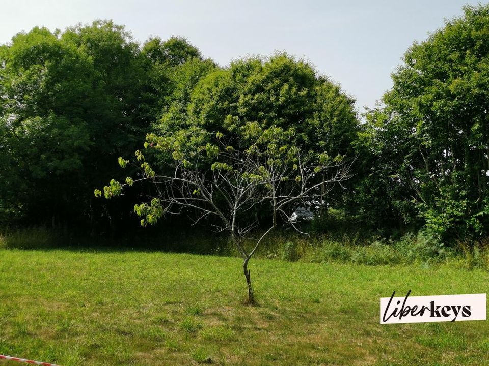 Tomt i Pluguffan, Finistere - bilde 2