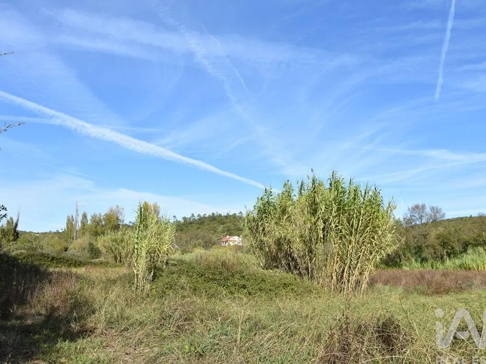 Helårsgrund i Ourem, Santarem - foto 1