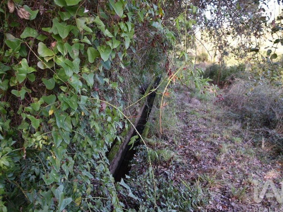 Helårsgrund i Ourem, Santarem - foto 4