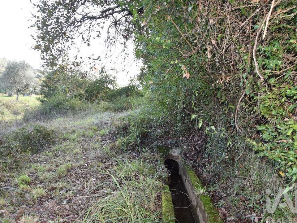 Helårsgrund i Ourem, Santarem - foto 5