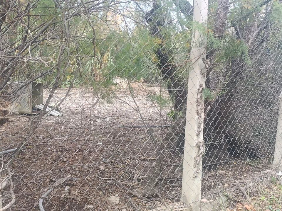 Helårsgrund i La Palme, Aude - foto 3