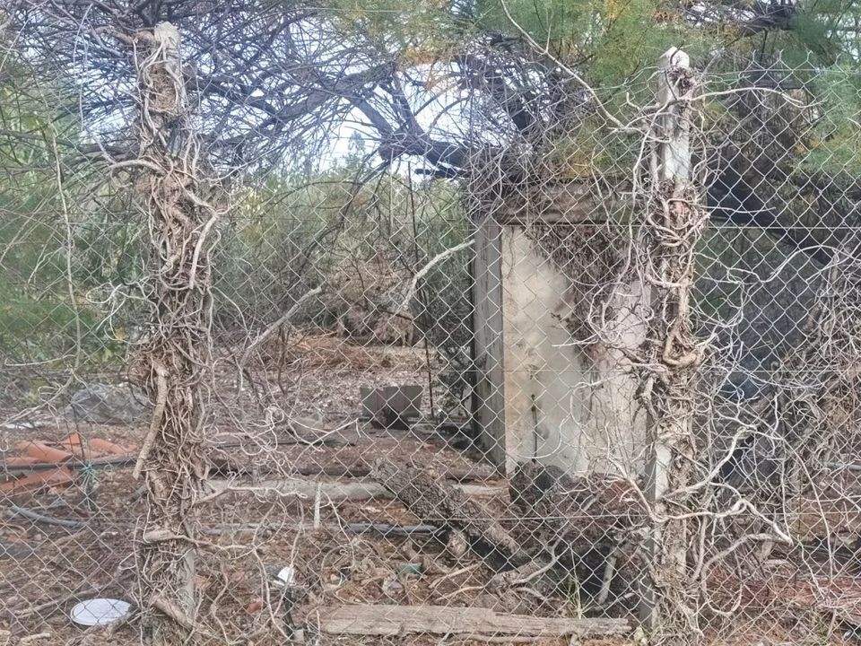 Helårsgrund i La Palme, Aude - foto 4