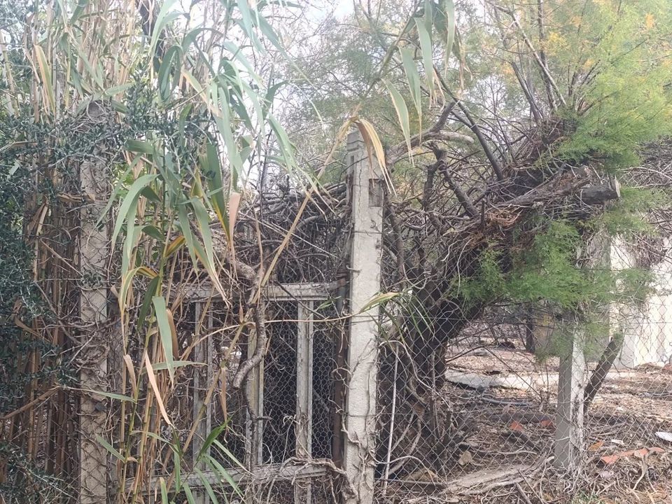 Helårsgrund i La Palme, Aude - foto 5