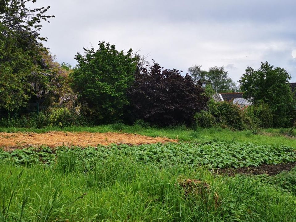 Herregård i Saint-Aubin-du-Cormier, Ille-et-Vilaine - bilde 2