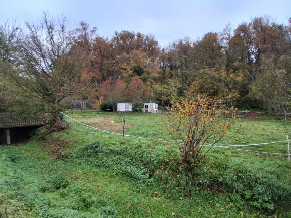 Villa i Montbouy, Loiret - bilde 1