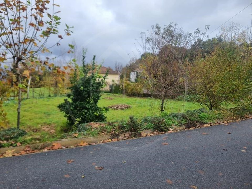 Tomt i Ribeira de Pena, Vila Real - bilde 2