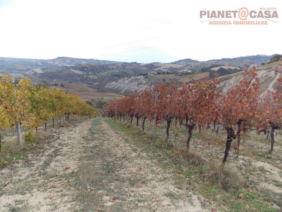 Helårsgrund i Ripatransone, Ascoli Piceno - foto 1