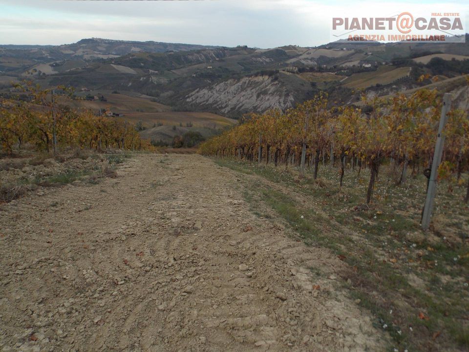 Helårsgrund i Ripatransone, Ascoli Piceno - foto 5
