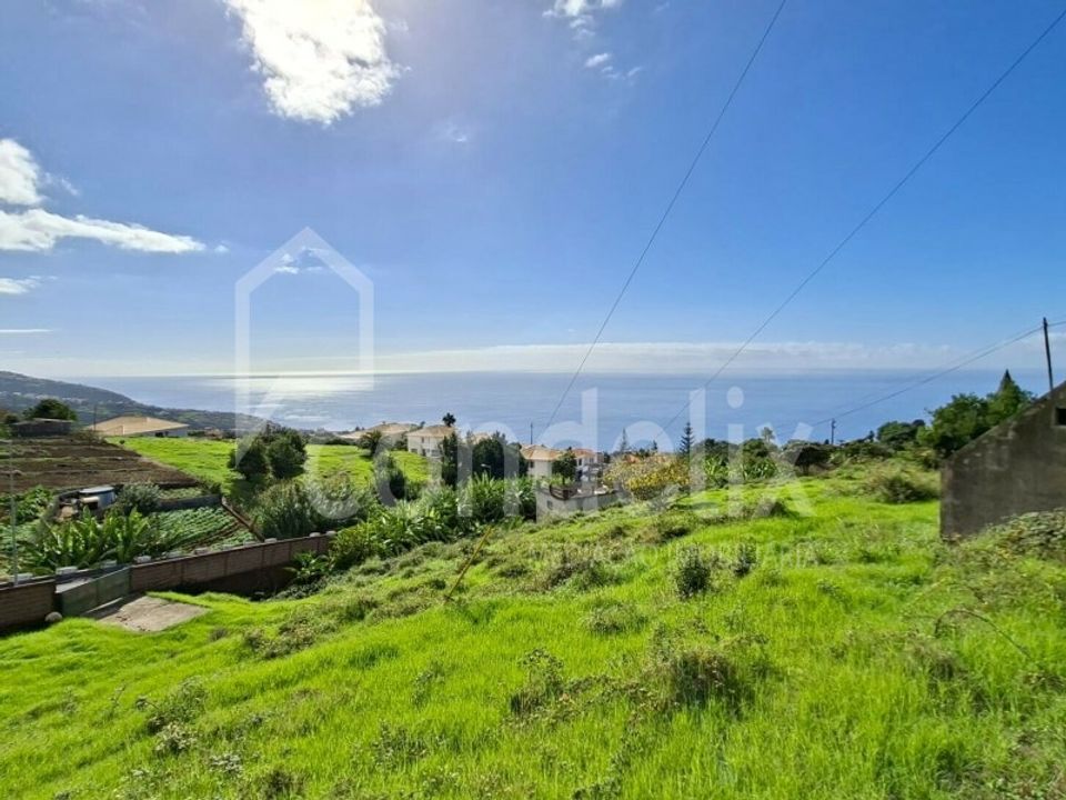 Helårsgrund i Calheta, Madeira - foto 1