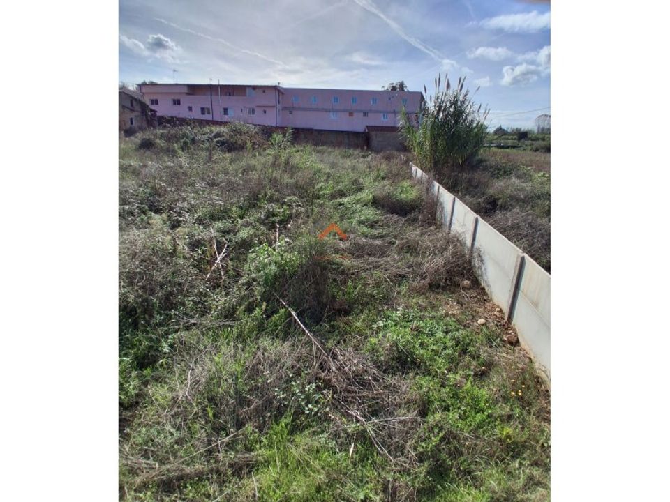 Helårsgrund i Anadia, Aveiro - foto 2
