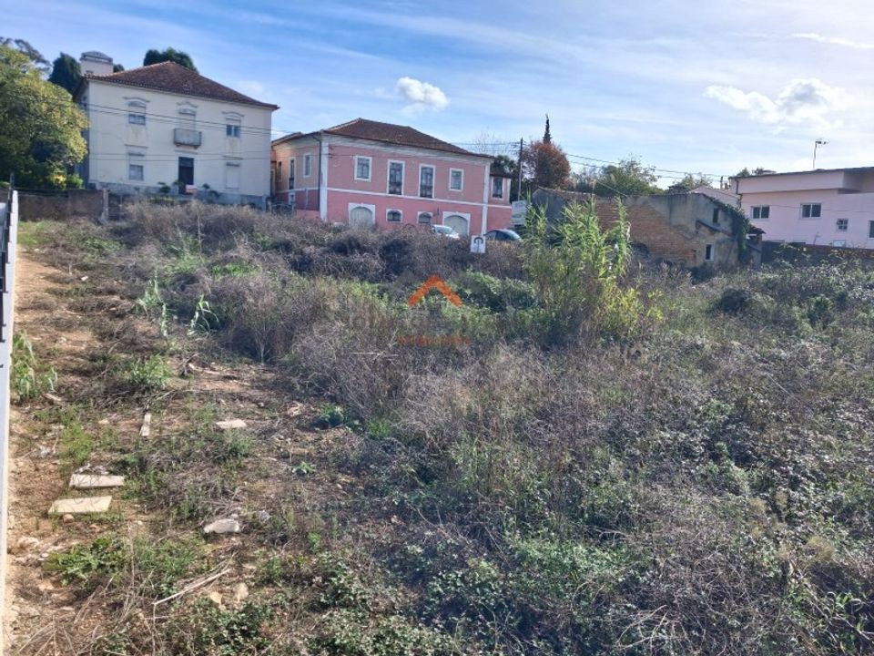 Helårsgrund i Anadia, Aveiro - foto 3