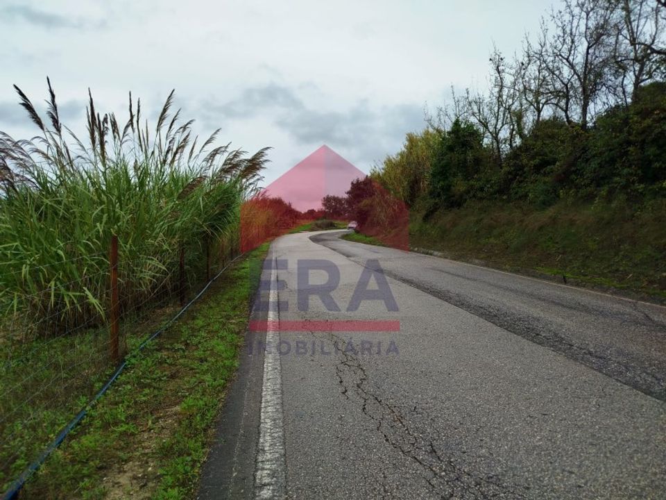 Terra a Carvalhal, Leiria - foto 2