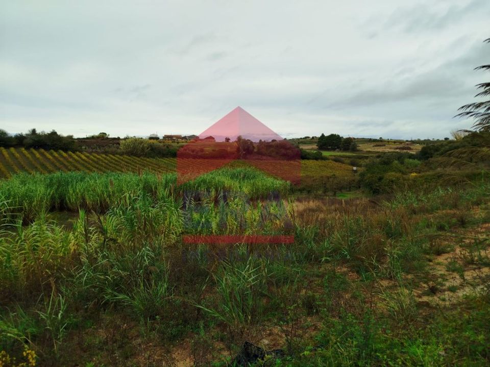 Terra a Carvalhal, Leiria - foto 3