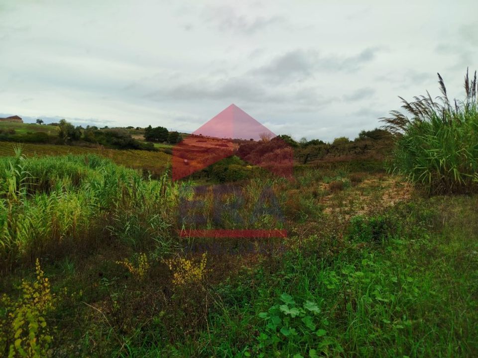 Terra a Carvalhal, Leiria - foto 5