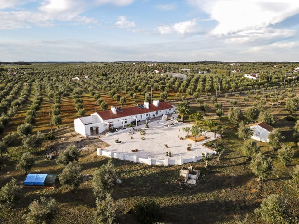 Erhvervsejendom i Casa Branca, Portalegre - foto 4