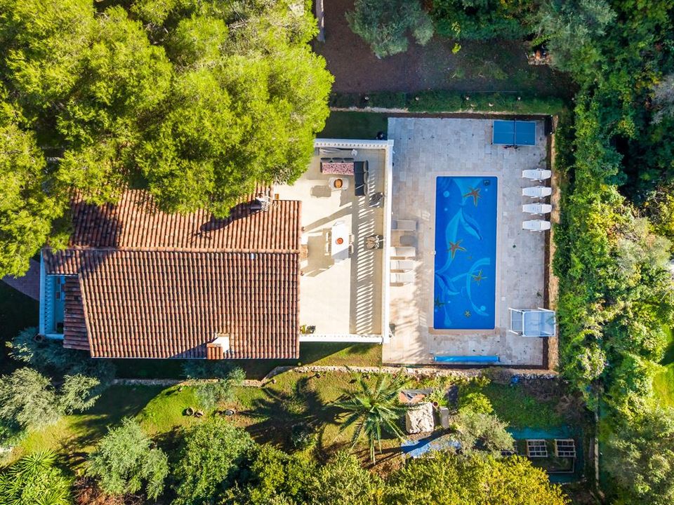 Villa i Antibes, Alpes-Maritimes - foto 5