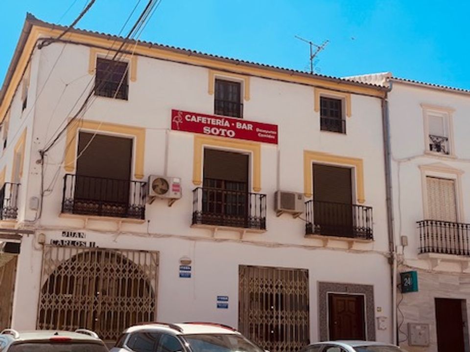 Erhvervsejendom i Fuente de Piedra, Malaga - foto 2