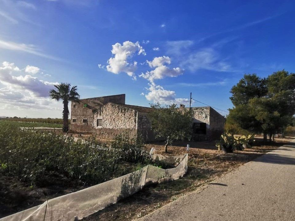 Helårsgrund i Albatera, Alicante - foto 1