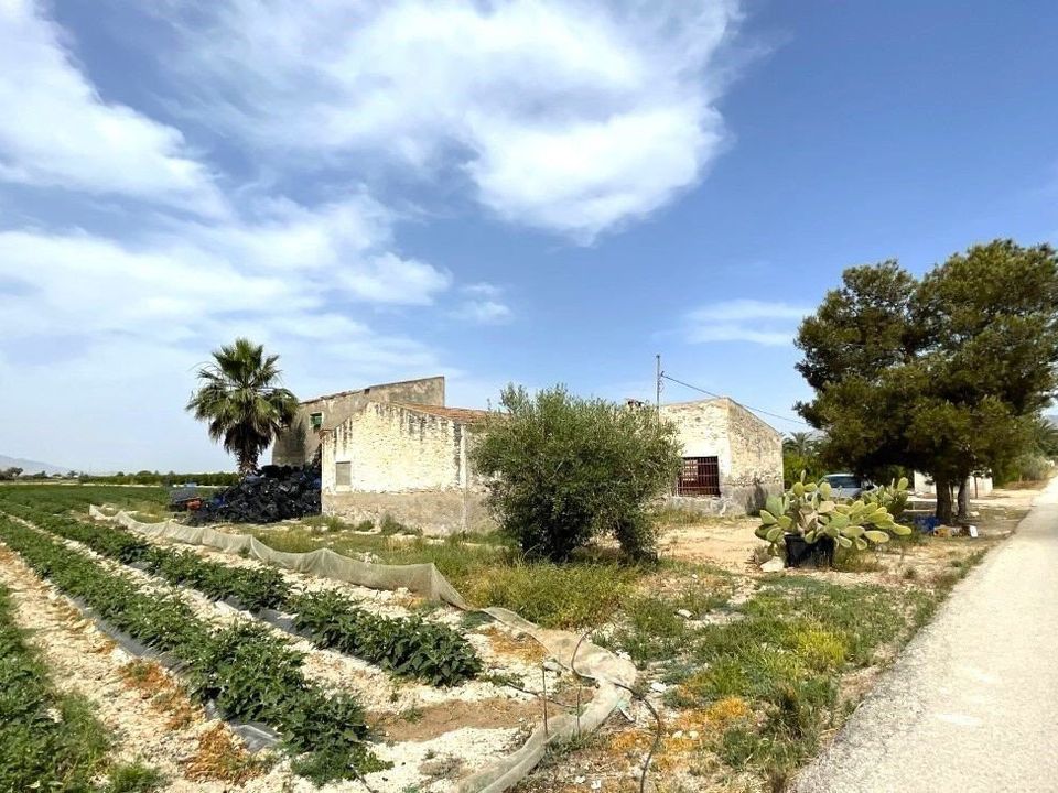 Helårsgrund i Albatera, Alicante - foto 4