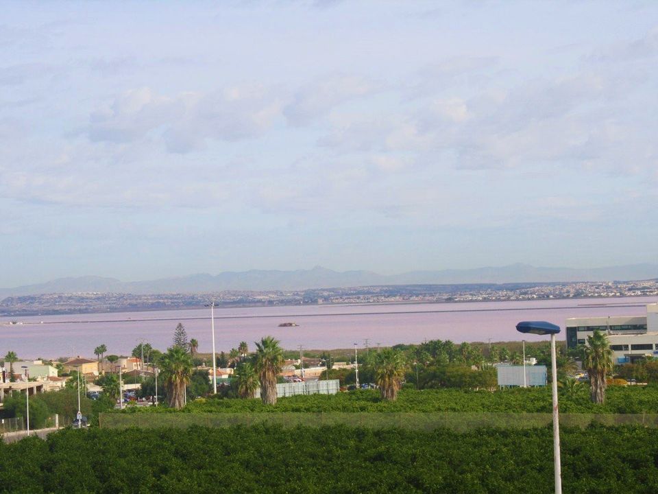 Byhus i Los Altos, Alicante - foto 4
