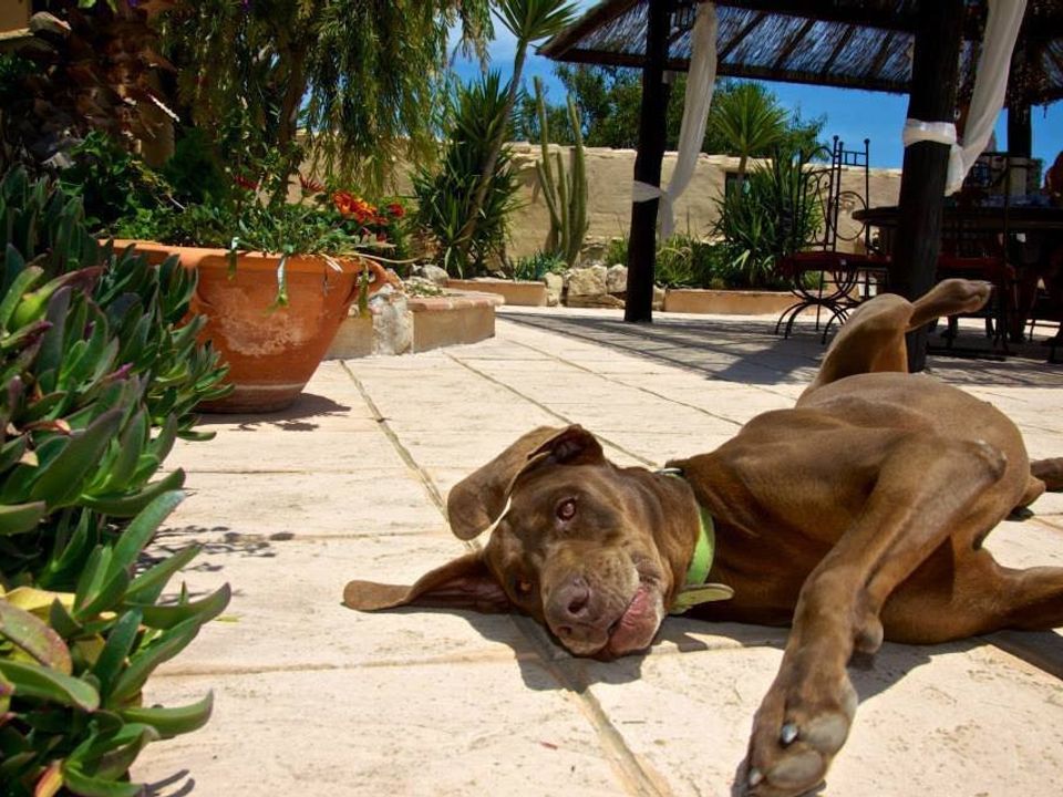 Finca i Benissa, Alicante - foto 4