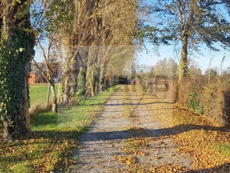 Villa i Saint-Venant, Pas-de-Calais - foto 5