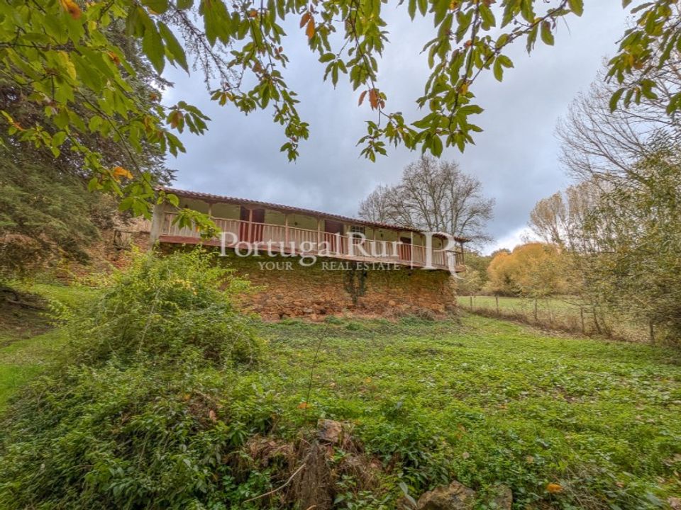 Farm i Braganca, Braganca - foto 3