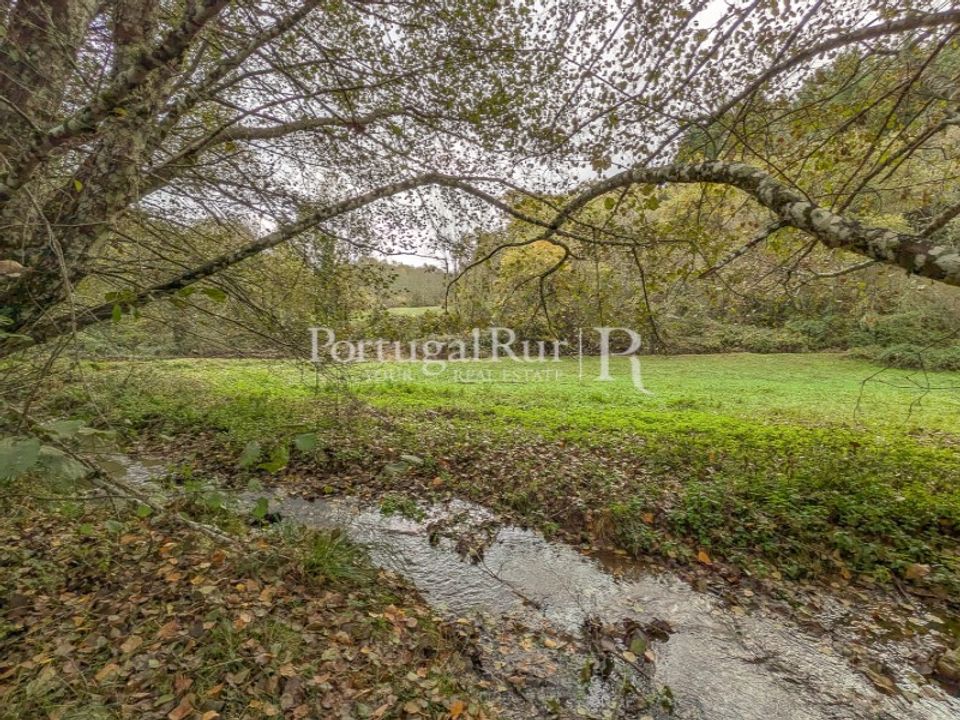Farm i Braganca, Braganca - foto 1