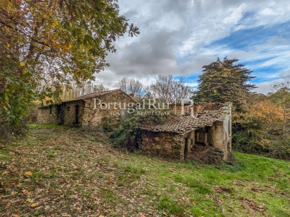 Farm i Braganca, Braganca - foto 4