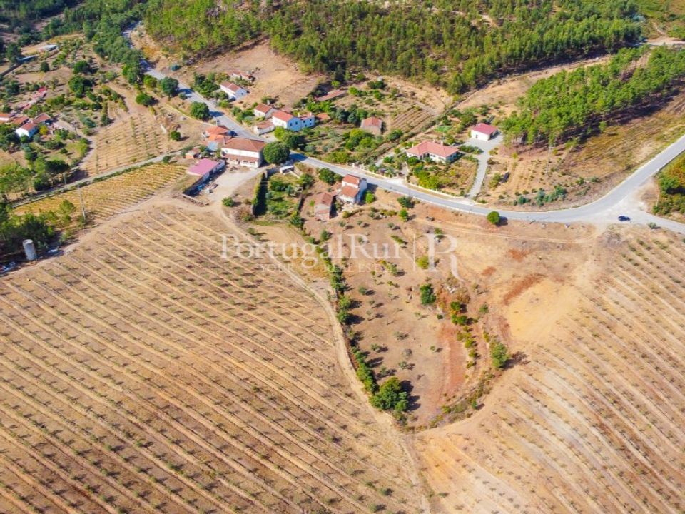 Farm i Macao, Santarem - foto 1