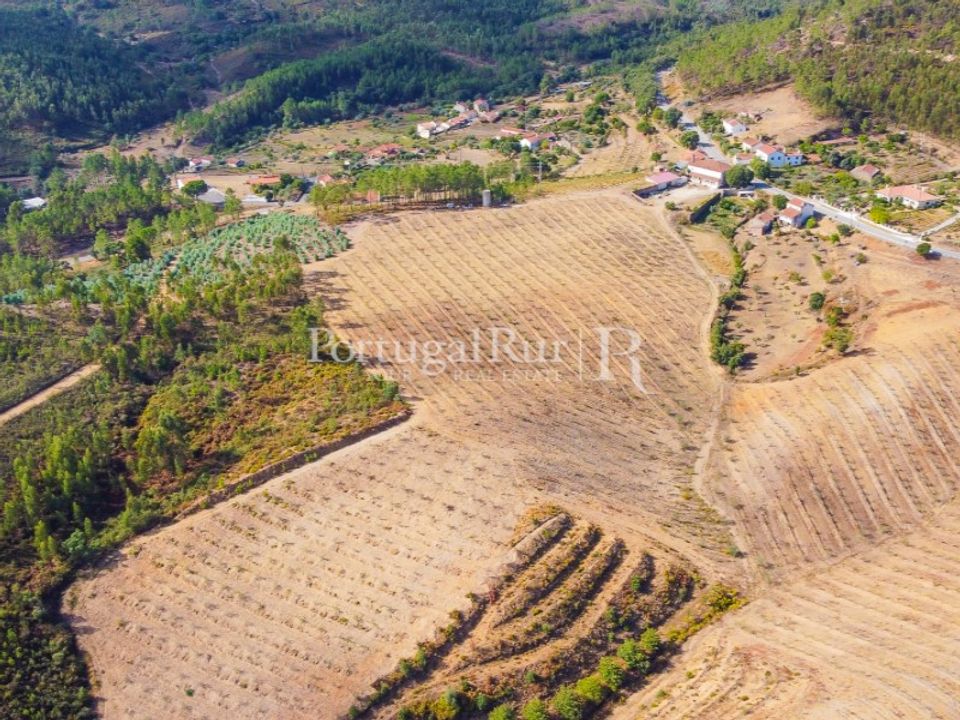 Farm i Macao, Santarem - foto 3