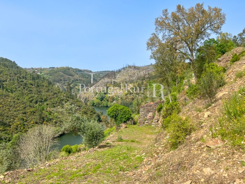 Granja a Serta, Castelo Branco - foto 1