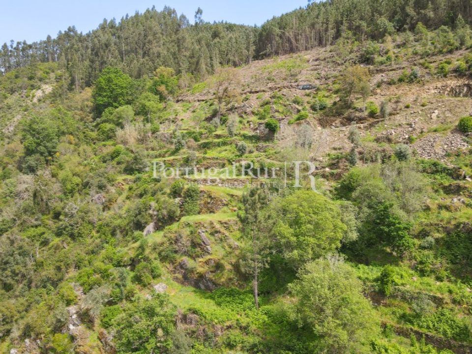 Granja a Serta, Castelo Branco - foto 4