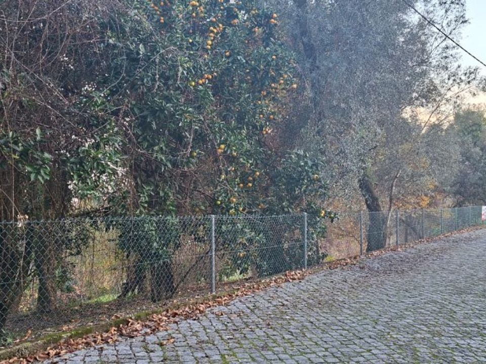 Helårsgrund i Amares, Braga - foto 3