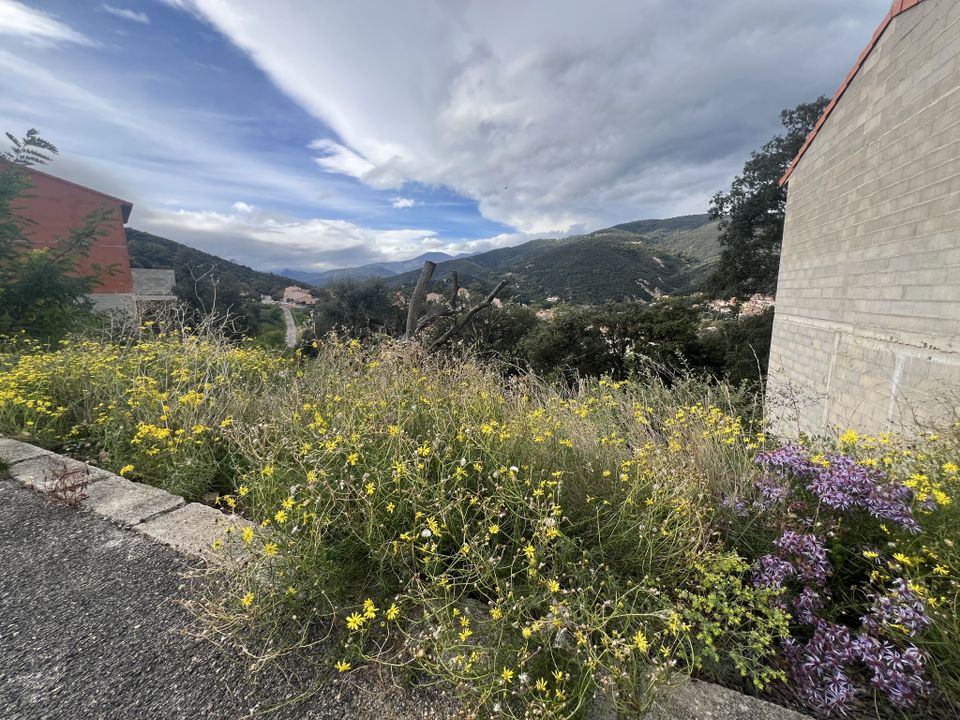 Helårsgrund i Amelie-les-Bains-Palalda, Pyrenees-Orientales - foto 5
