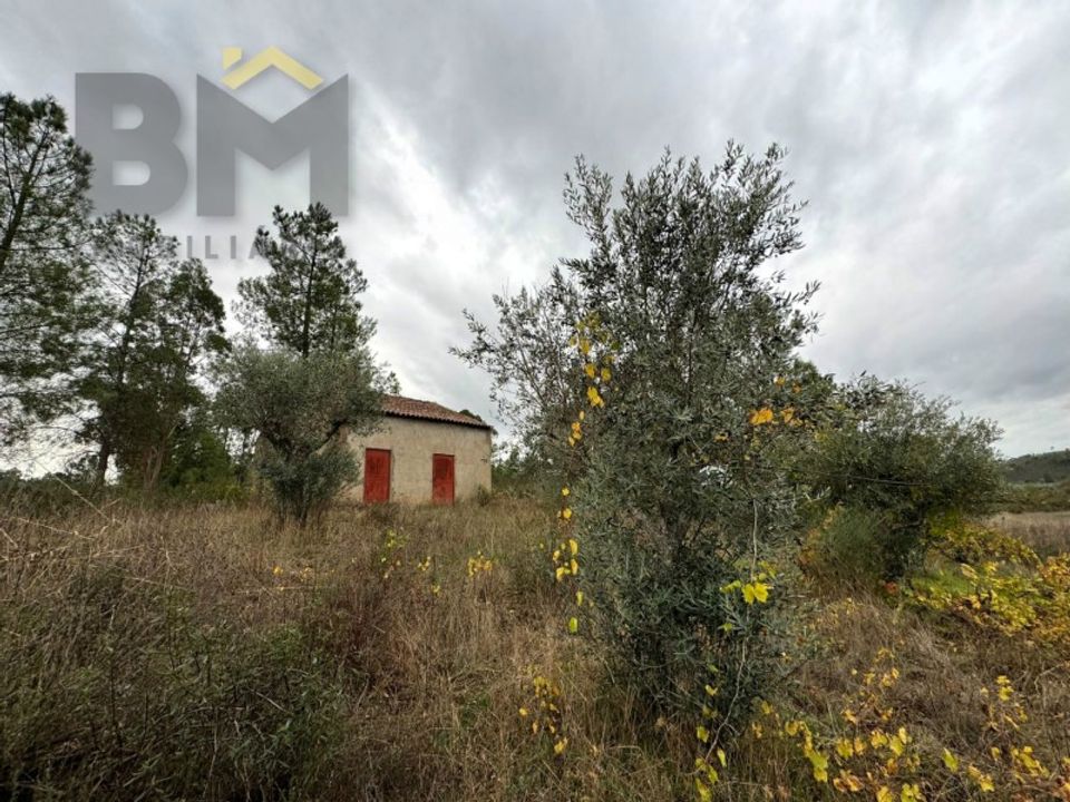 Farm i Castelo Branco, Castelo Branco - foto 4