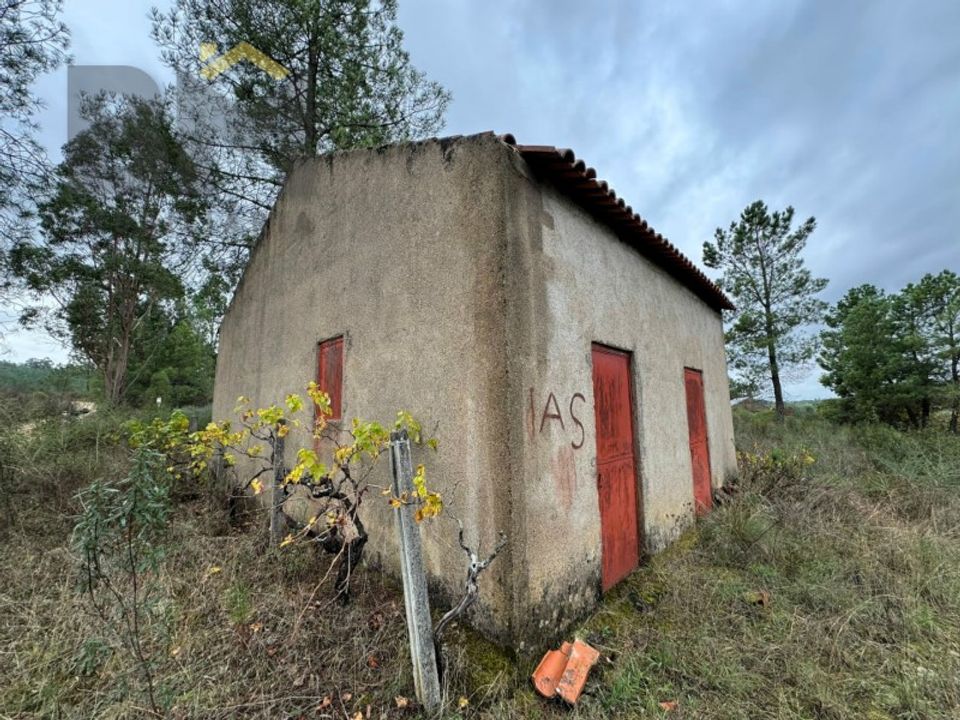Farm i Castelo Branco, Castelo Branco - foto 5