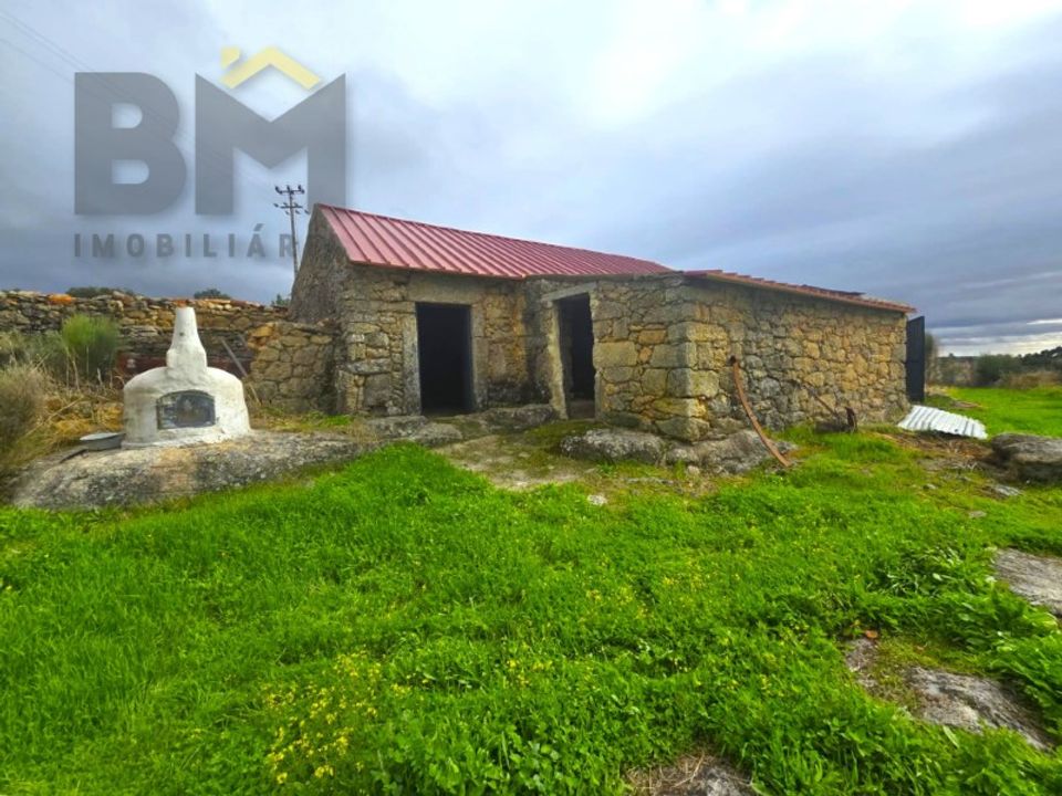 Farm i Monsanto e Idanha-a-Velha, Castelo Branco - foto 3