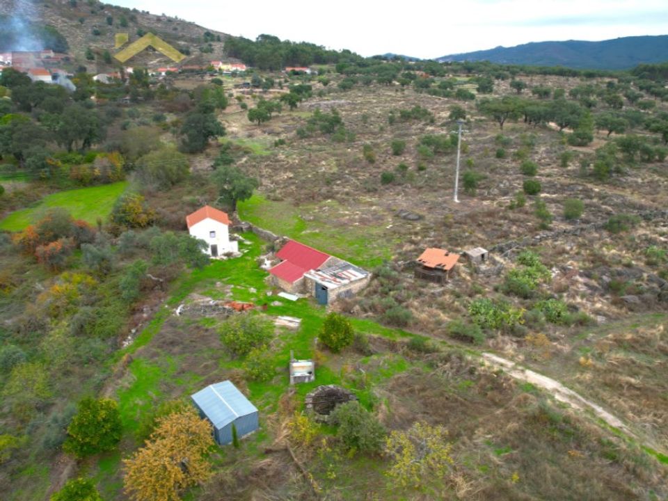Farm i Monsanto e Idanha-a-Velha, Castelo Branco - foto 4