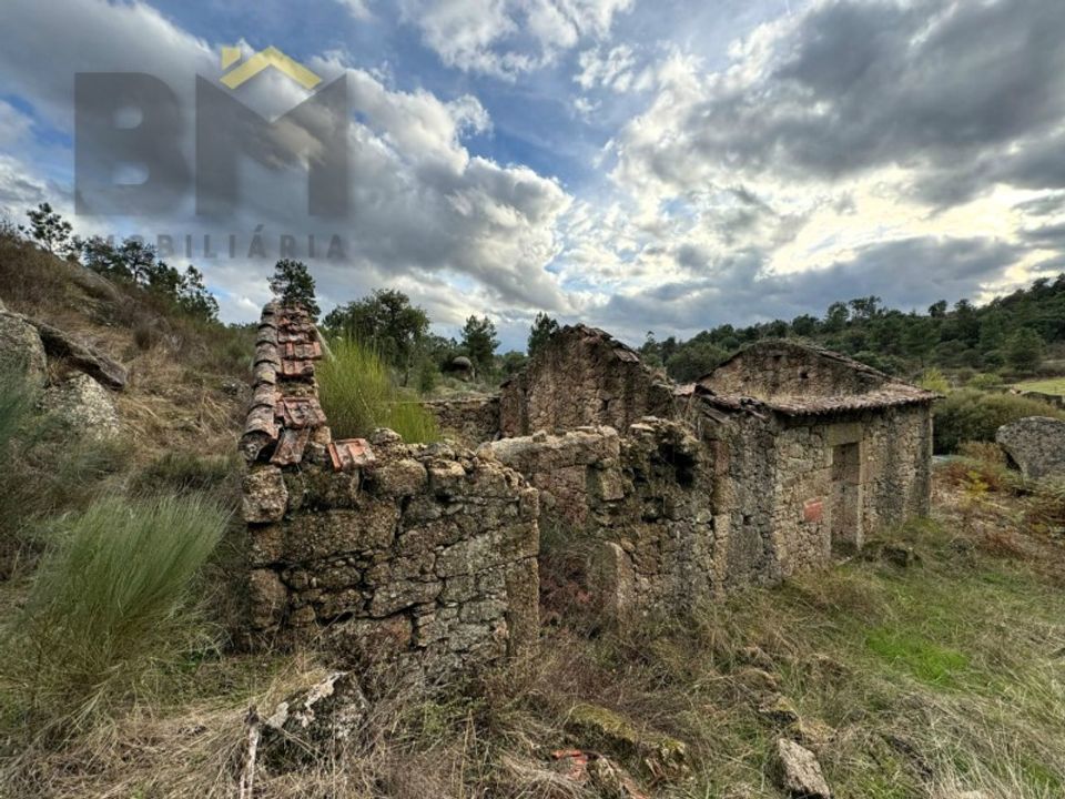 Farm i Castelo Branco, Castelo Branco - foto 4