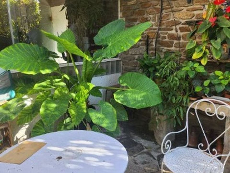 Villa i Toulon, Var - foto 2