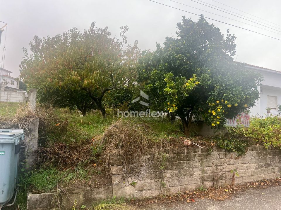 Helårsgrund i Soure, Coimbra - foto 3