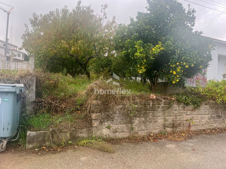 Helårsgrund i Soure, Coimbra - foto 4