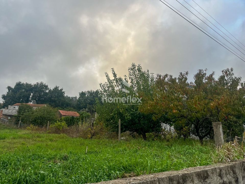 Helårsgrund i Soure, Coimbra - foto 5
