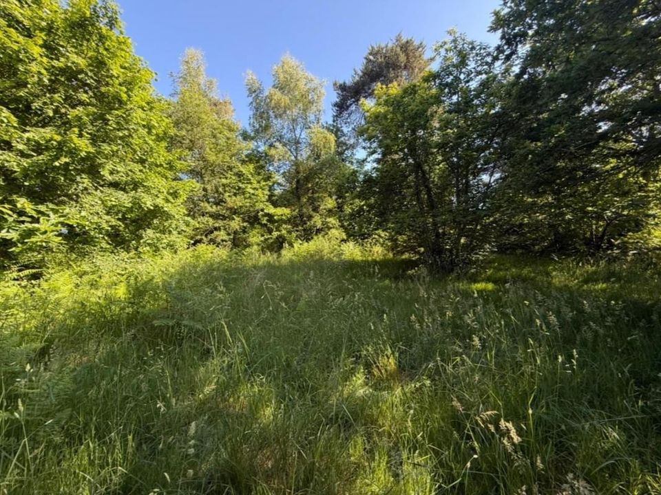 Helårsgrund i Pluherlin, Morbihan - foto 1