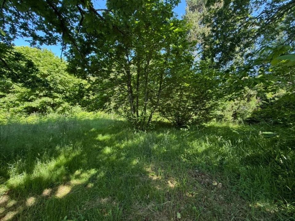 Helårsgrund i Pluherlin, Morbihan - foto 2