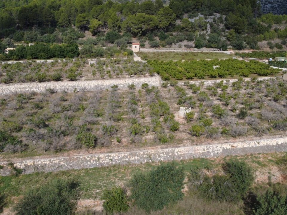 Helårsgrund i Orba, Alicante - foto 3
